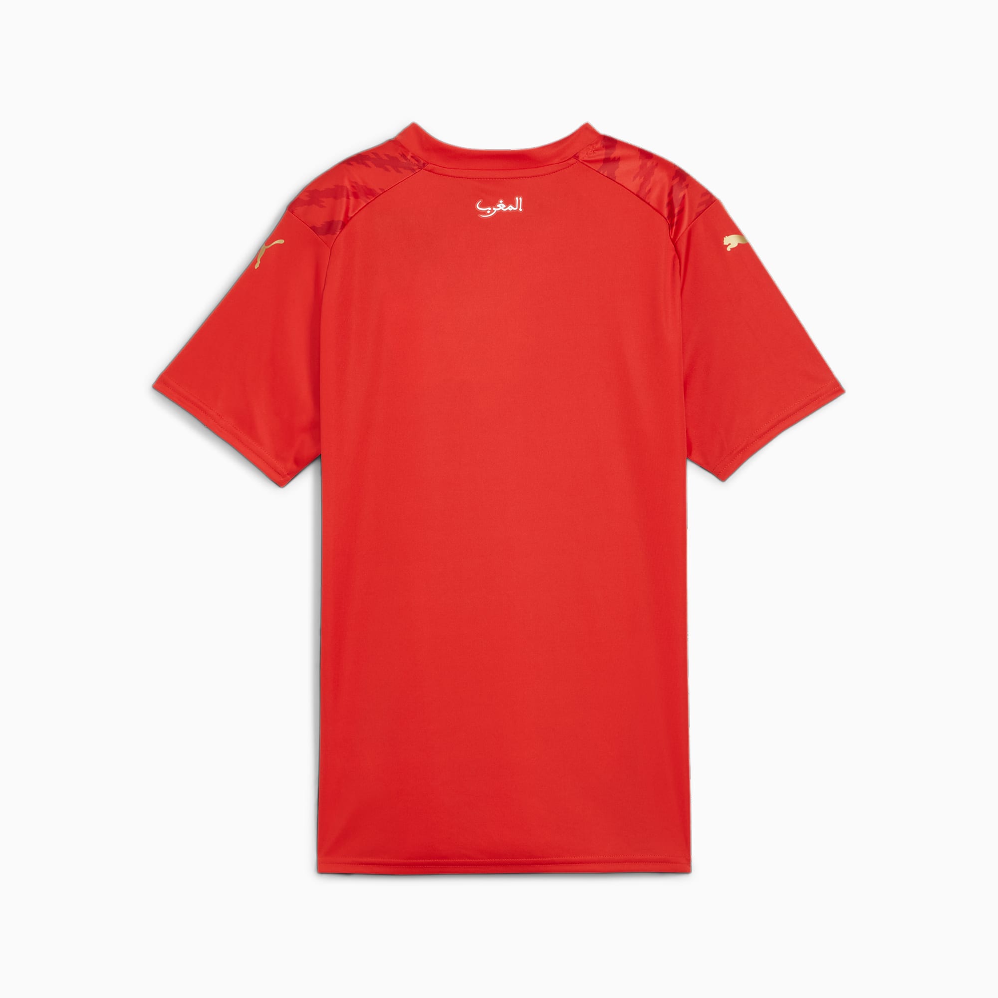 PUMA Morocco 23/24 Womenâs World Cup thuisshirt voor Dames, Rood/Groen